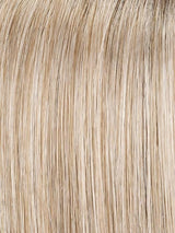 101F48T | Soft White Front, Light Brown with 75% Grey Blend with Soft White Tips