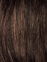 CINNAMON RAISIN | Medium Brown with Auburn and Cinnamon highlights