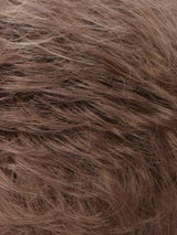 R12/26H | Light Brown w/Golden Blonde Highlights on Top