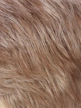 R14/26H | Dark Blonde w/Golden Blonde Highlights