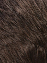 R14/8H | Golden Brown w/Dark Blonde Highlights on Top