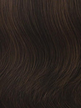 R6/30H = CHOCOLATE COPPER: Dark Brown with soft, Coppery highlights