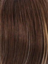 R8/26H | Golden Brown with Golden Blonde Highlights