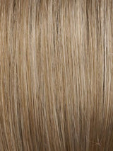 17/101 | Light Ash Blonde and Pale Ash Blonde Blend