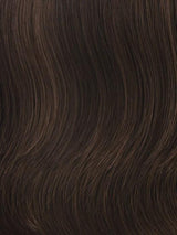 R10 CHESTNUT |  Medium Brown with Coffee Brown Highlights
