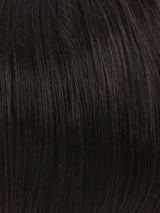 R2/4 | Darkest Brown Blended With Dark Brown