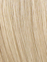 R22 = Cool Platinum Blonde, Salon Processed Blonde