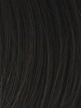 4/8 | dark brown with rich medium brown highlights