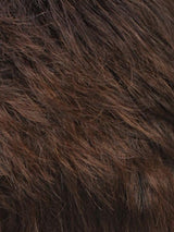 R6/27H | Chestnut Brown w/Light Auburn Highlights